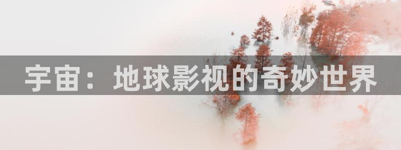 奇优电影手机版免费高