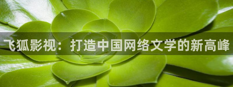 奇优影院手机免费高清